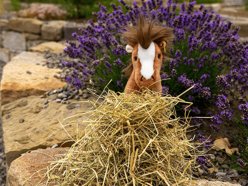 Stofftier Schaetty draußen vor Heuhaufen