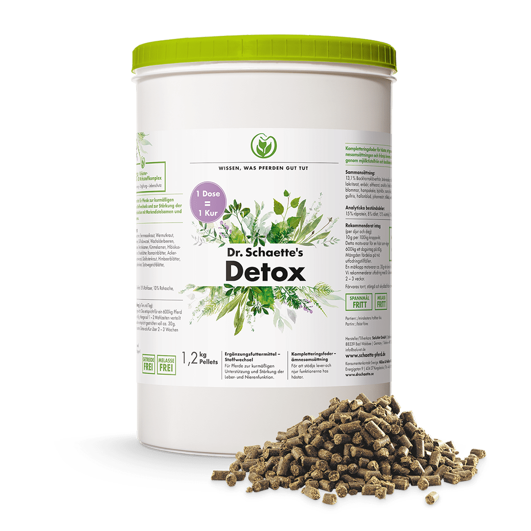Dr. Schaette's Detox